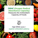 Paradise Herbs ORAC Energy Greens – bol-melange, mélange nutritionnel facile à consommer