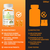 Parhaat rituel quotidien glucosamine-chondroïtine visuel 7 — solution pratique pour votre routine.