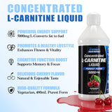 Parker Naturals L-Carnitine liquide, saveur griottes, soutien énergétique au quotidien.