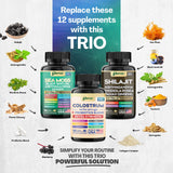 Parrox Complete Vitality Trio – capsules Panax Ginseng renforcent concentration et énergie durable.