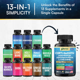 Parrox Corti-Smooth : crinière-de-lion pour un soutien potentiel de concentration.