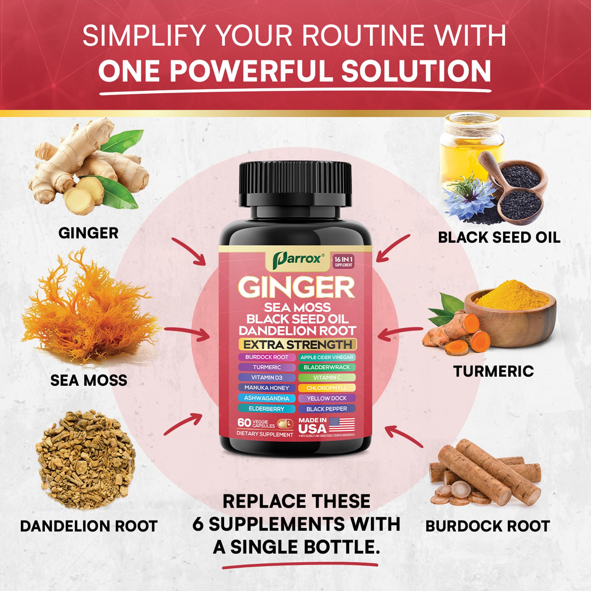 Parrox Gingembre 16-en-1 algues marines, apport minéral naturel.