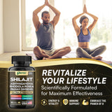 Parrox Shilajit 8 en 1 — Remplacement résine: alternative moderne au shilajit traditionnel.