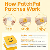 PatchPal : depose-sans-residu — retrait propre sans résidu après usage.