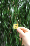 PatchPal : packaging-reutilisable-30-patches — kit mensuel pratique à emporter partout.
