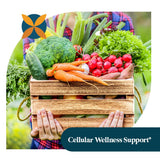 Pattern Wellness Allium sativum 1000mg capsules — équivalent à ail frais.