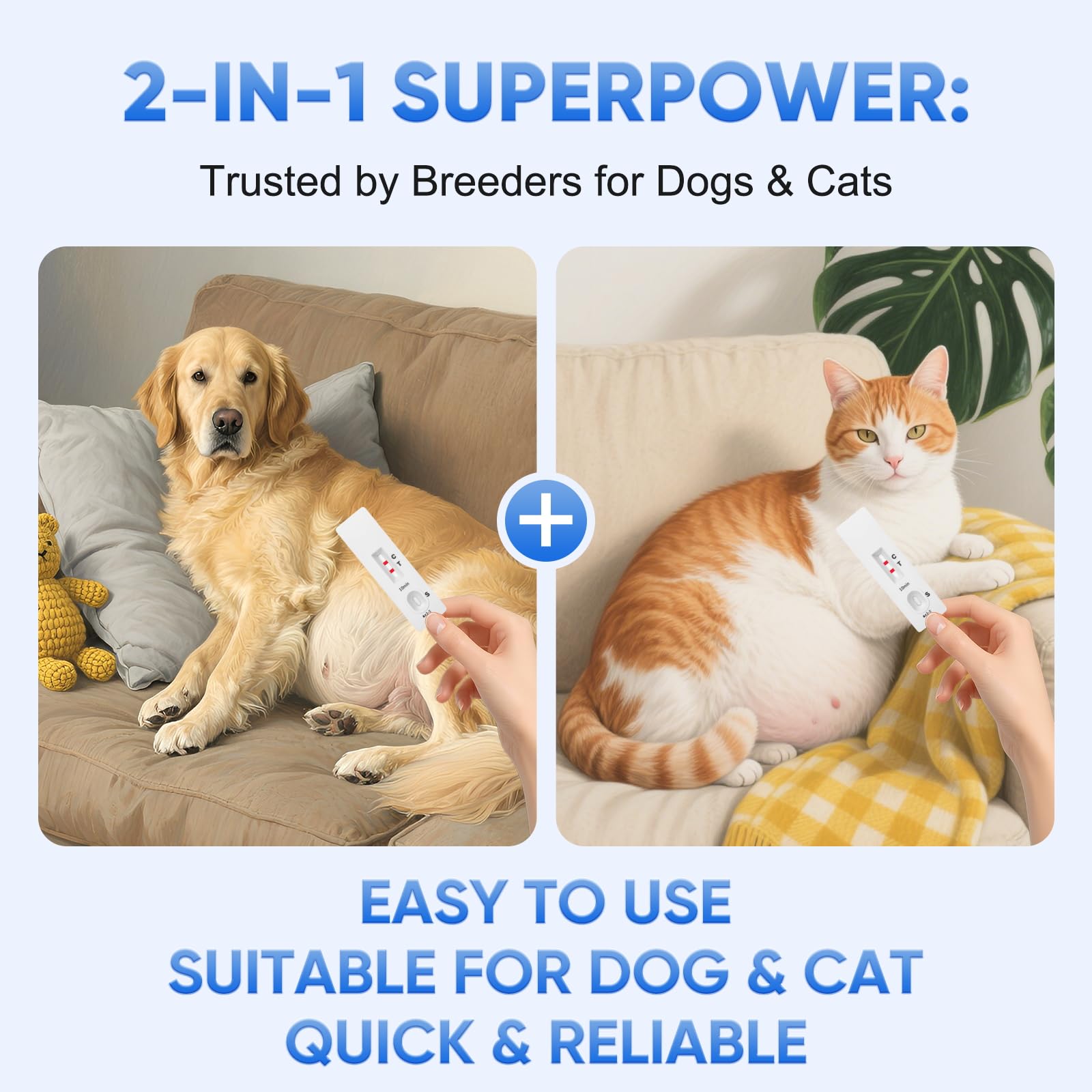 Manuel-clair-PawsXfun-guide-etape-par-etape