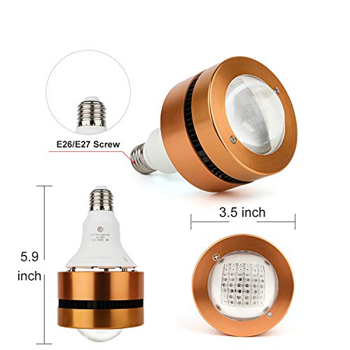 PDGROW lampe-diodes rouge-infrarouge 850nm, approche ciblée pour réchauffer la peau.