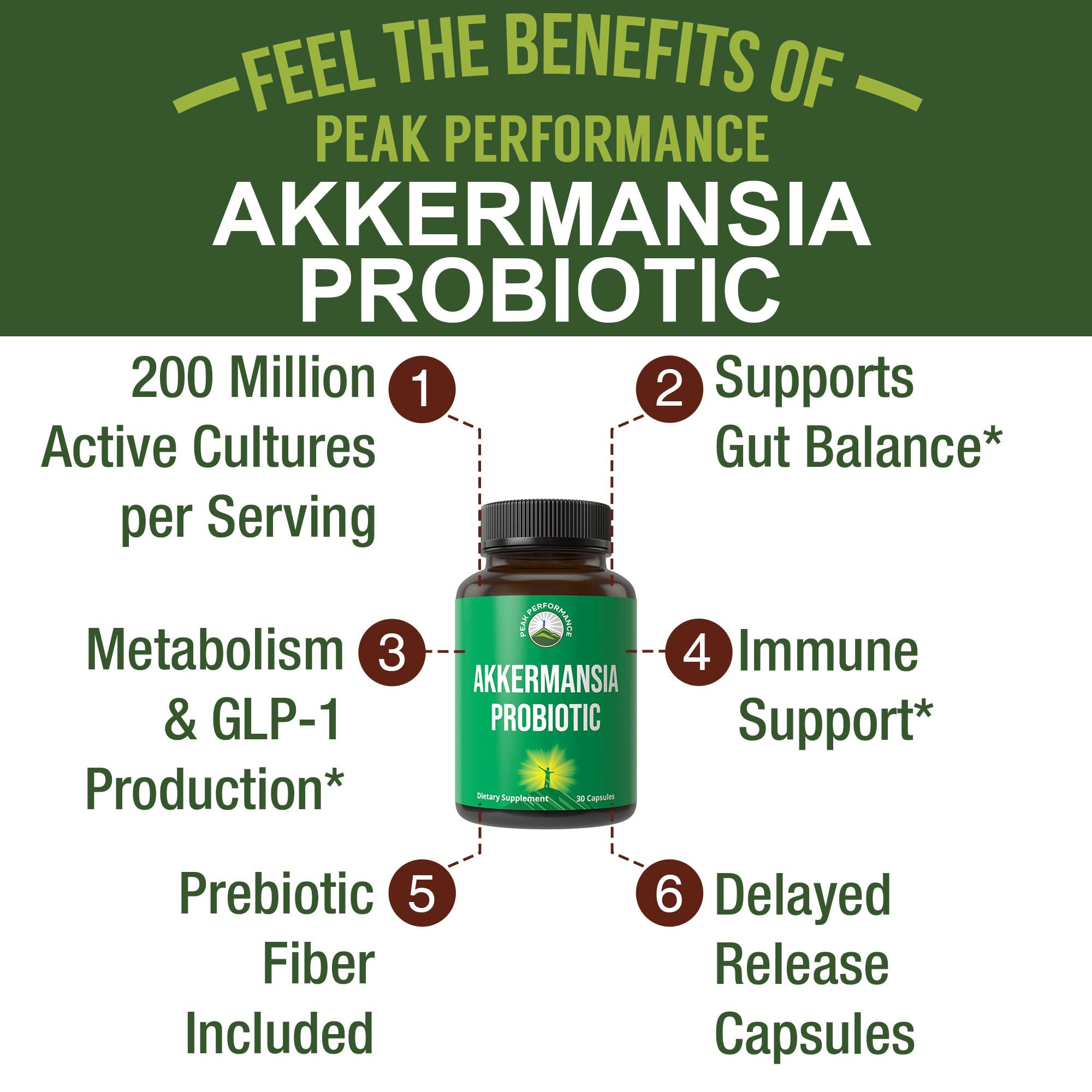 Peak Performance Akkermansia muciniphila – Capsule à libération retardée pour une efficacité digestive.
