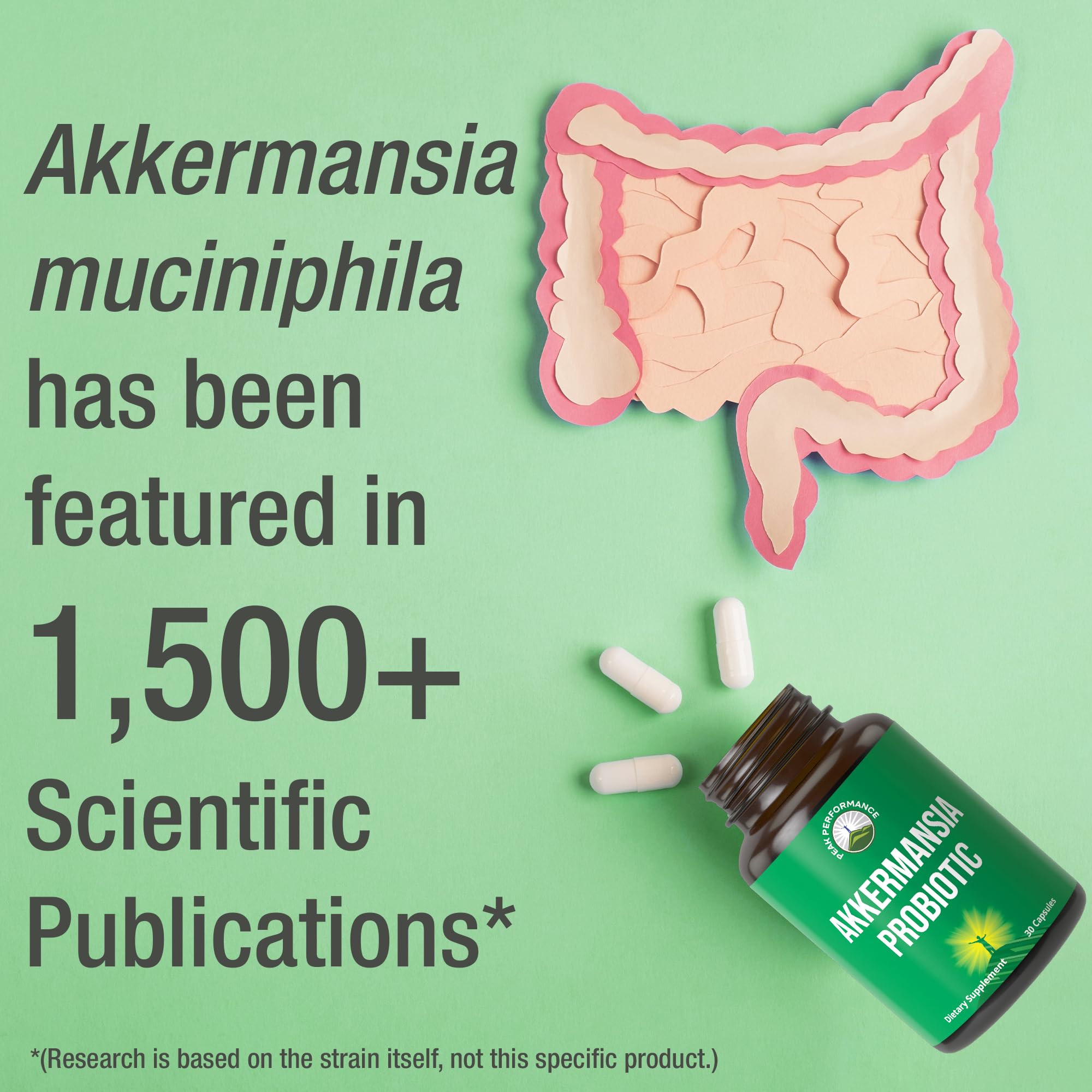 Peak Performance Akkermansia muciniphila – Potence garantie jusqu’à expiration et normes GMP.