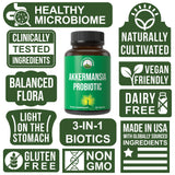 Peak Performance Akkermansia muciniphila – Inuline prébiotique pour favoriser la digestion.