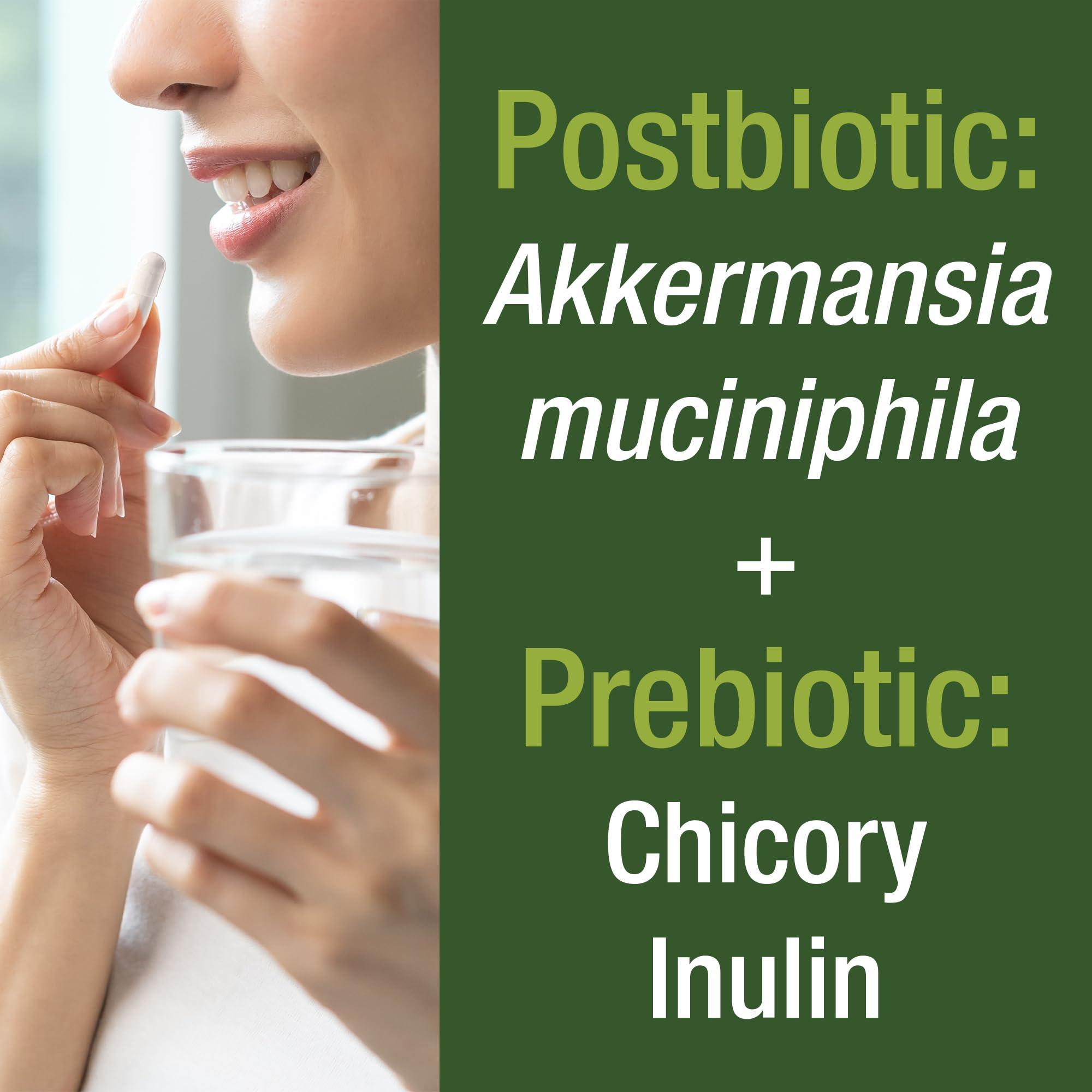 Peak Performance Akkermansia muciniphila – Soutien potentiel du milieu intestinal et barrière.