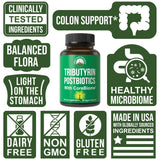 Peak Performance CoreBiome Tributyrin: art montrant un microbiome sain et equilibre