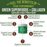 Boîte Peak Performance Greens, emballage soigné et ingrédients naturels triés