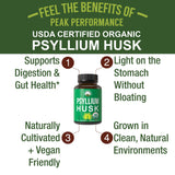 Capsules Peak Performance psyllium, forme gélules pratique à emporter.