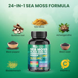 Peakhealth: gélules Rhodiola et Ginseng, performance quotidienne et clarté mentale