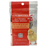 Pecking Order Électrolytes bouteille, soutient l'hydratation des volailles pendant le stress.
