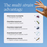 Pendulum Metabolic Daily – dose quotidienne simple, soutient une routine saine et régulière.