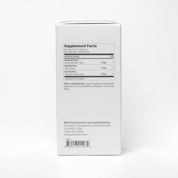 Soutien digestif potentiel – visuel de transit confortable et énergie naturelle.