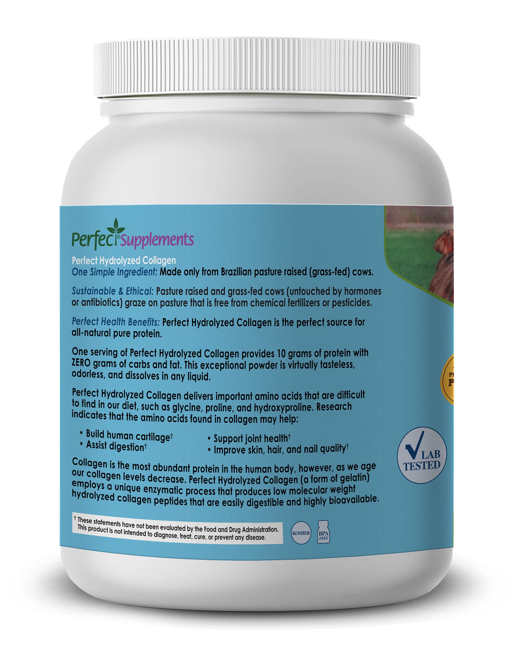 Perfect Supplements — Collagène hydrolysé dans l'eau chaude, absorption possible pour une boisson chaude