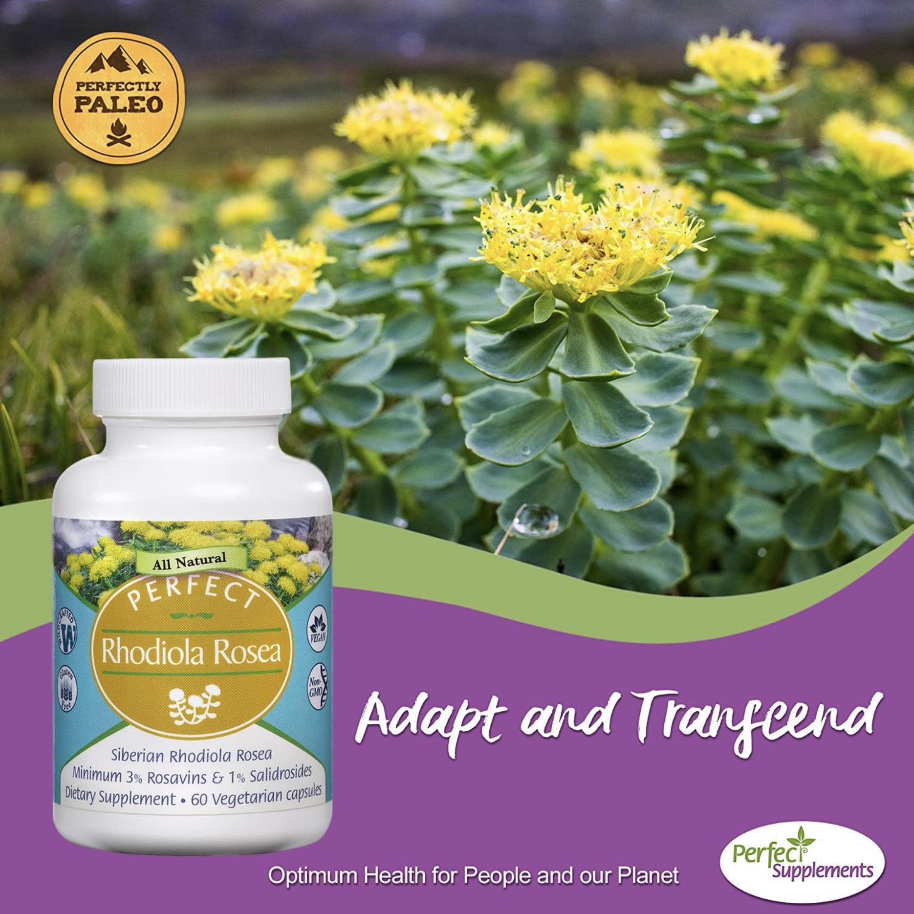 Perfect Supplements Rhodiola Rosea, composition naturelle adaptée à un mode de vie vegan