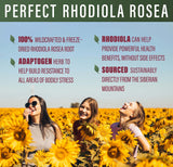 Perfect Supplements Rhodiola Rosea – emballage clair et naturel, étiquette végétalienne.