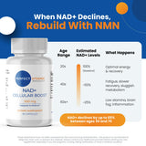 Perfect Vitamin Products NAD+ Santé cellulaire – maintien des fonctions cellulaires.