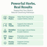 Ingrédients naturels Peruvian Naturals Chanca Piedra pour un mélange herbale équilibré.