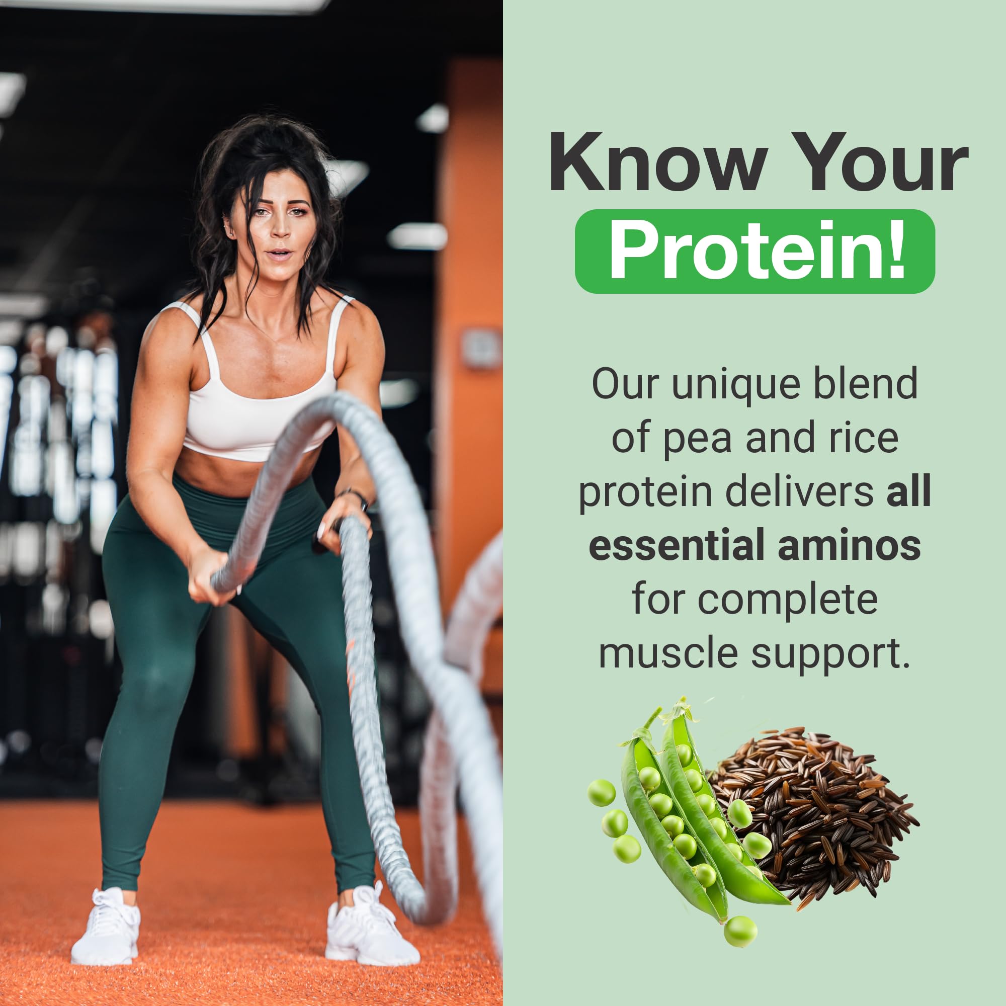 PEScience Select Vegan Protéine – mélange pois et riz brun protéines végétales complètes