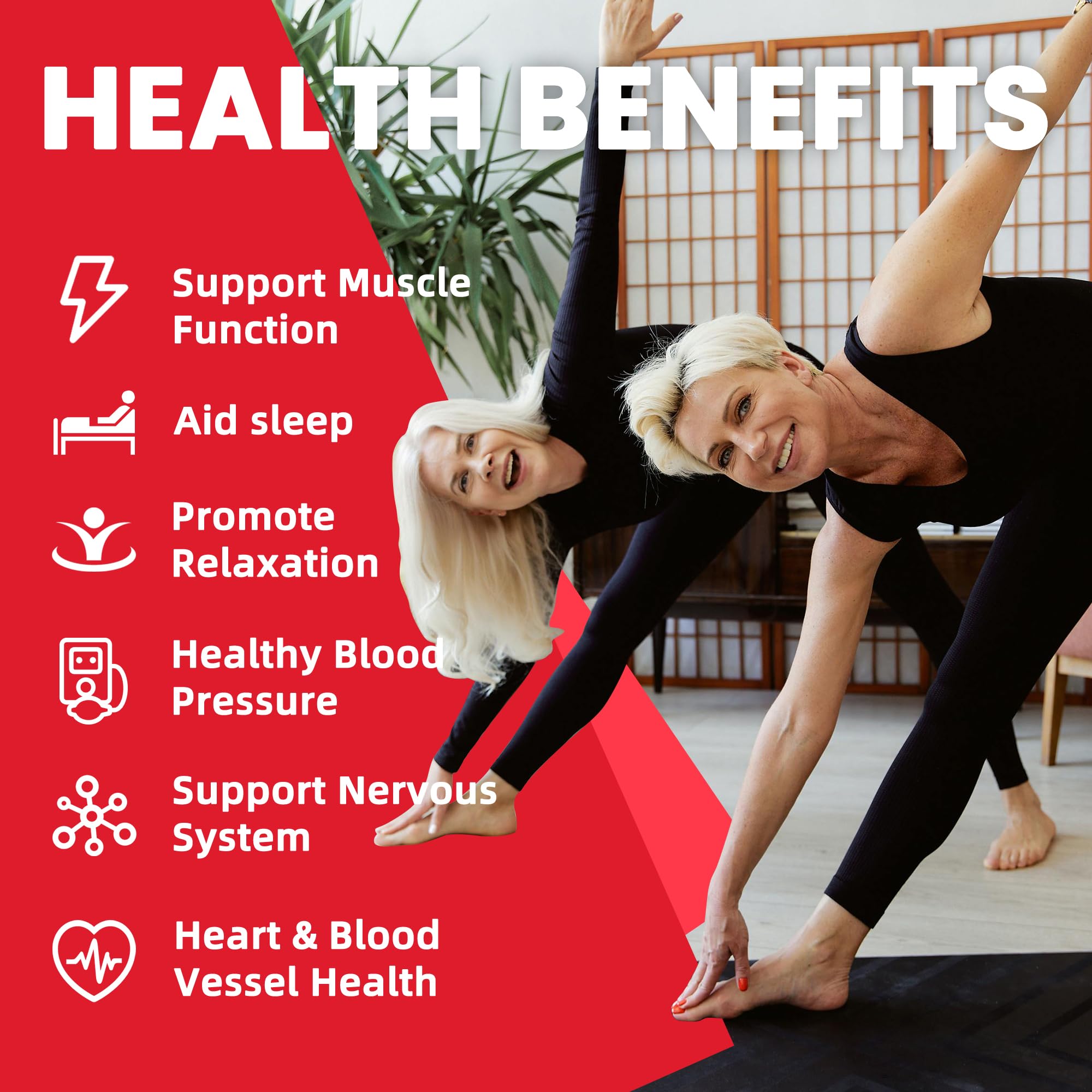 Boîte 60 gommes Pets Purest Potassium Magnésium, approvisionnement pratique.