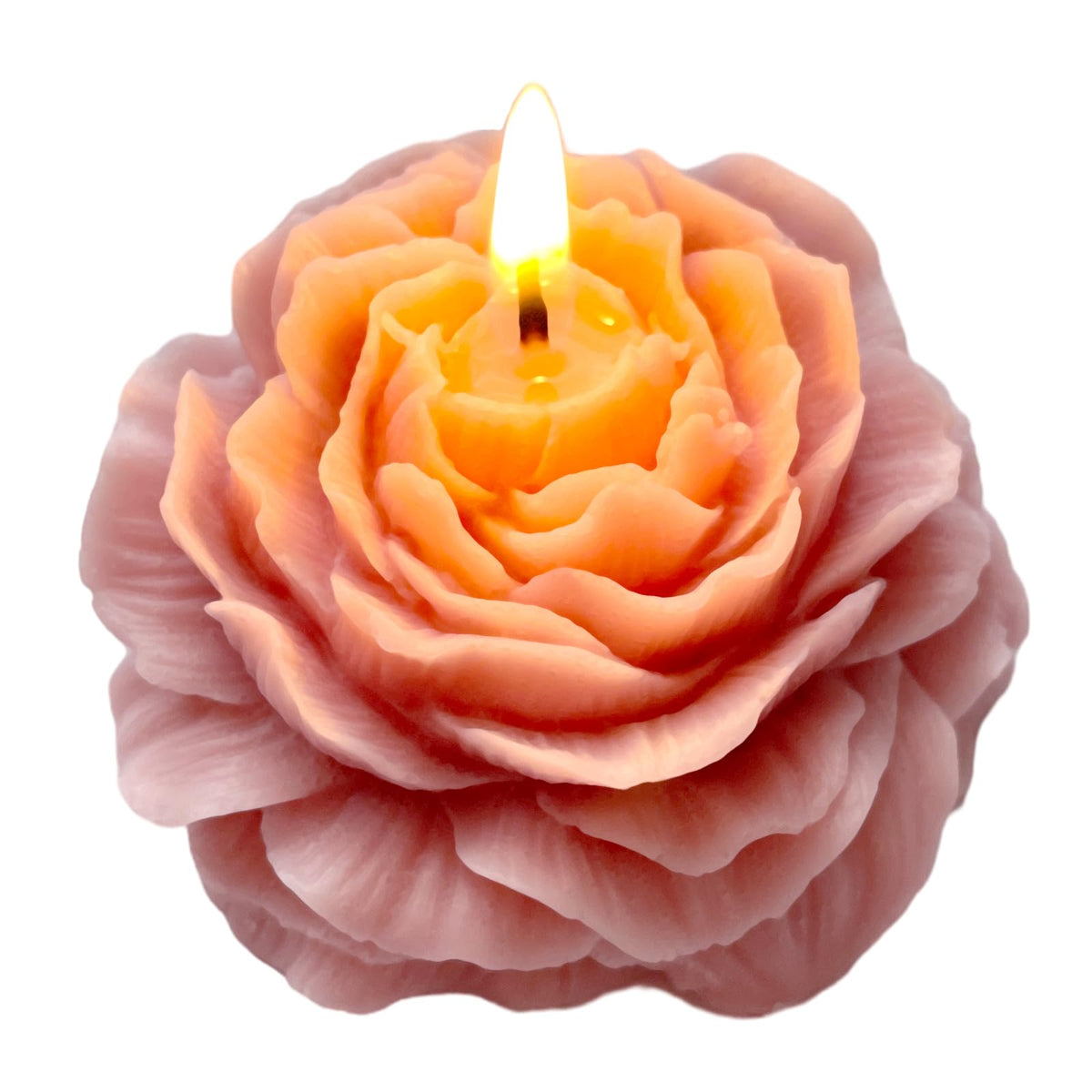 Peytanger Bougie fleur peonie violette, design élégant pour créer une ambiance zen.