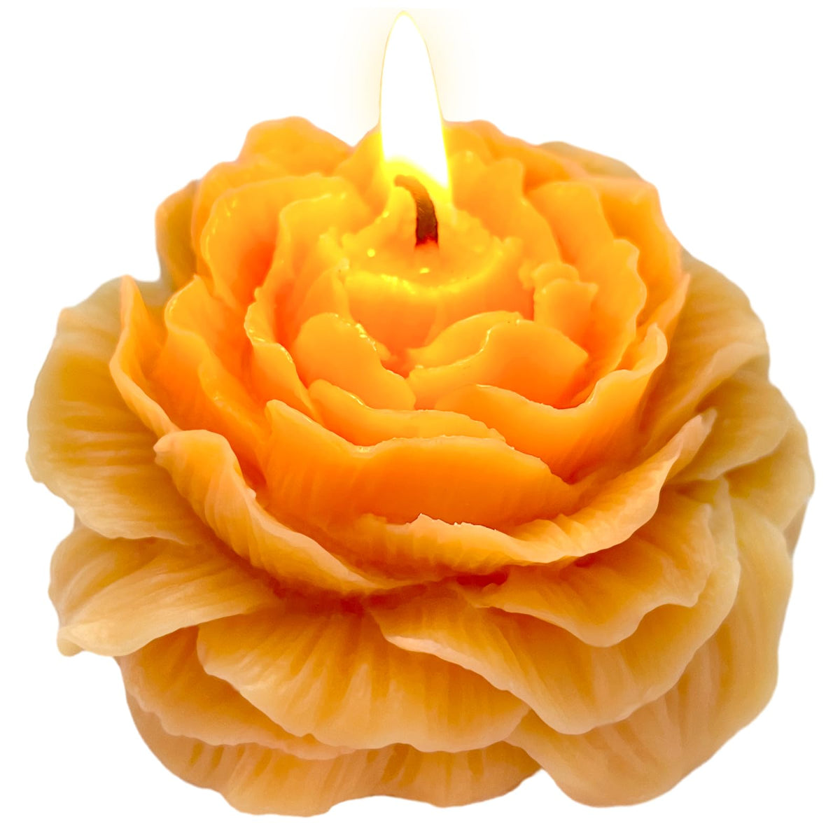 Bougie Peytanger Pivoine Orange 3 pouces, élégante dans votre intérieur.
