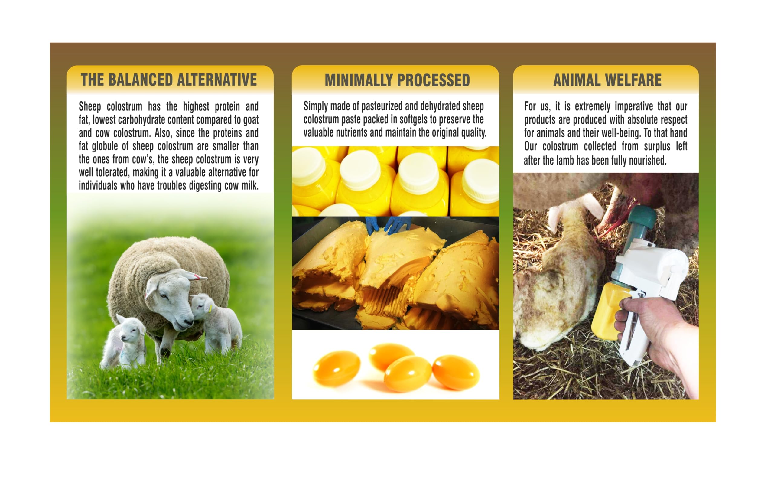 PHARMAKON Colostrum de brebis – étiquette claire facilitant le dosage et l'identification