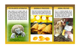 PHARMAKON Colostrum de brebis – étiquette claire facilitant le dosage et l'identification