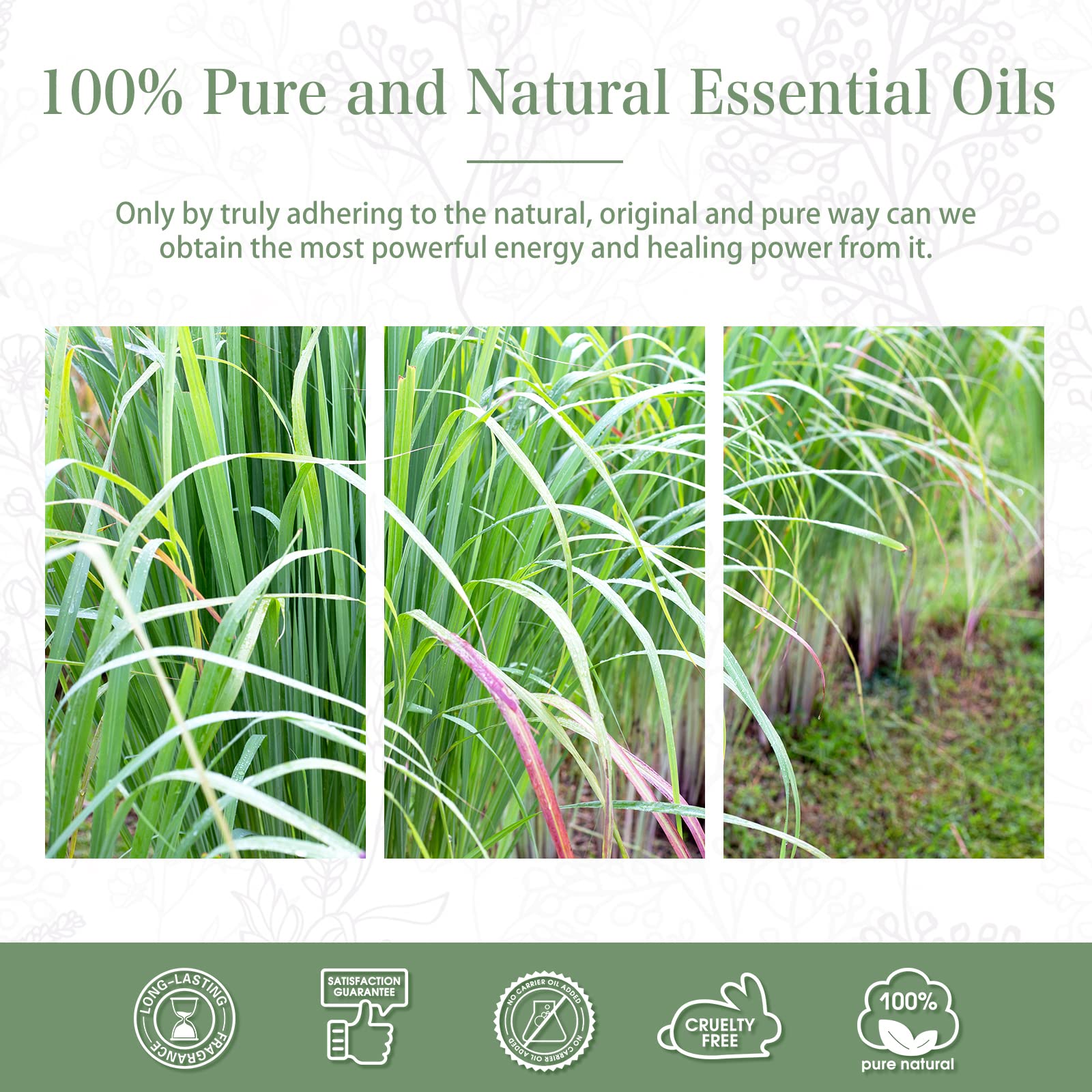 Moment de relaxation avec l’huile lemongrass PHATOIL et parfum citronné.