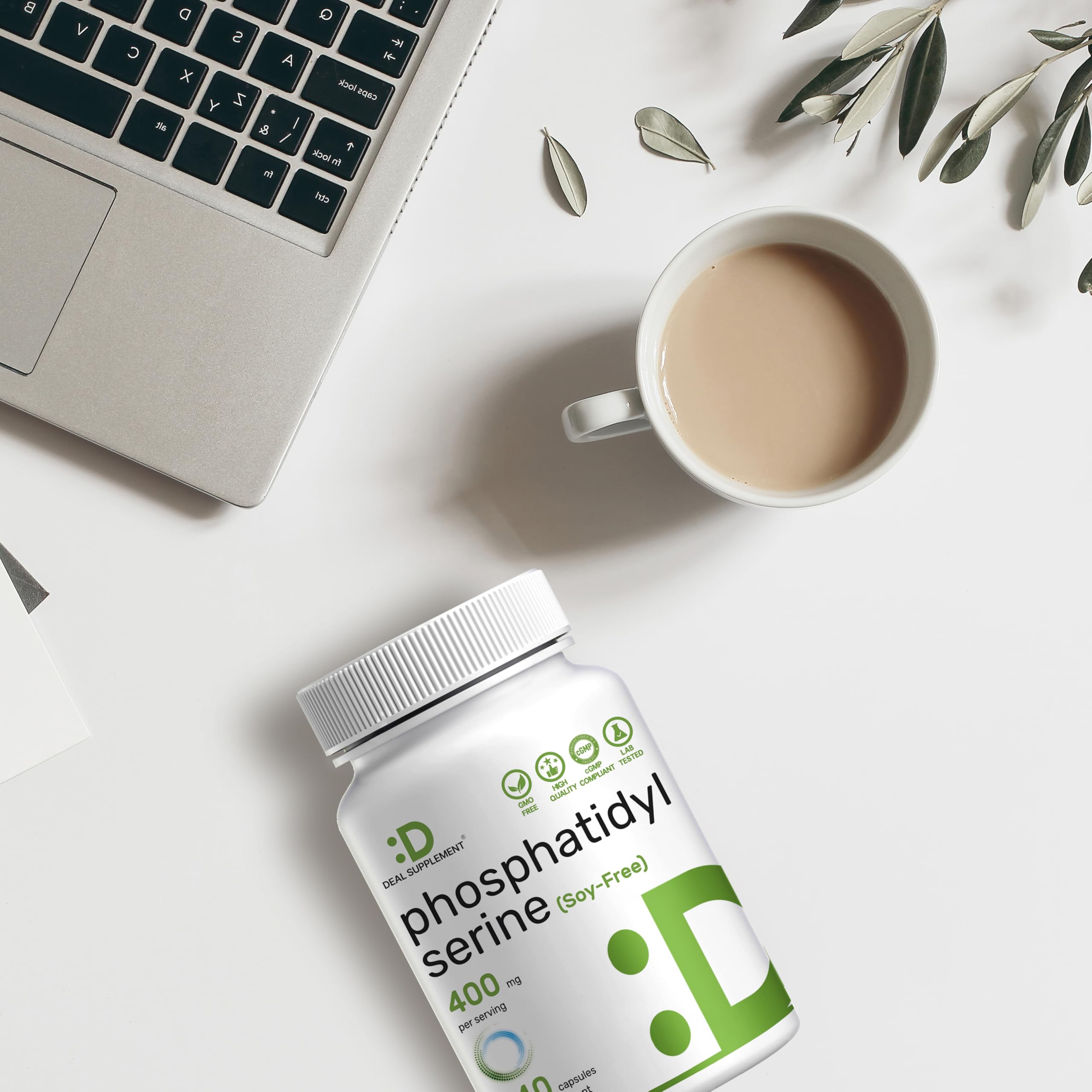 Phosphatidylsérine supplément – gélules neutres adaptées à une utilisation quotidienne