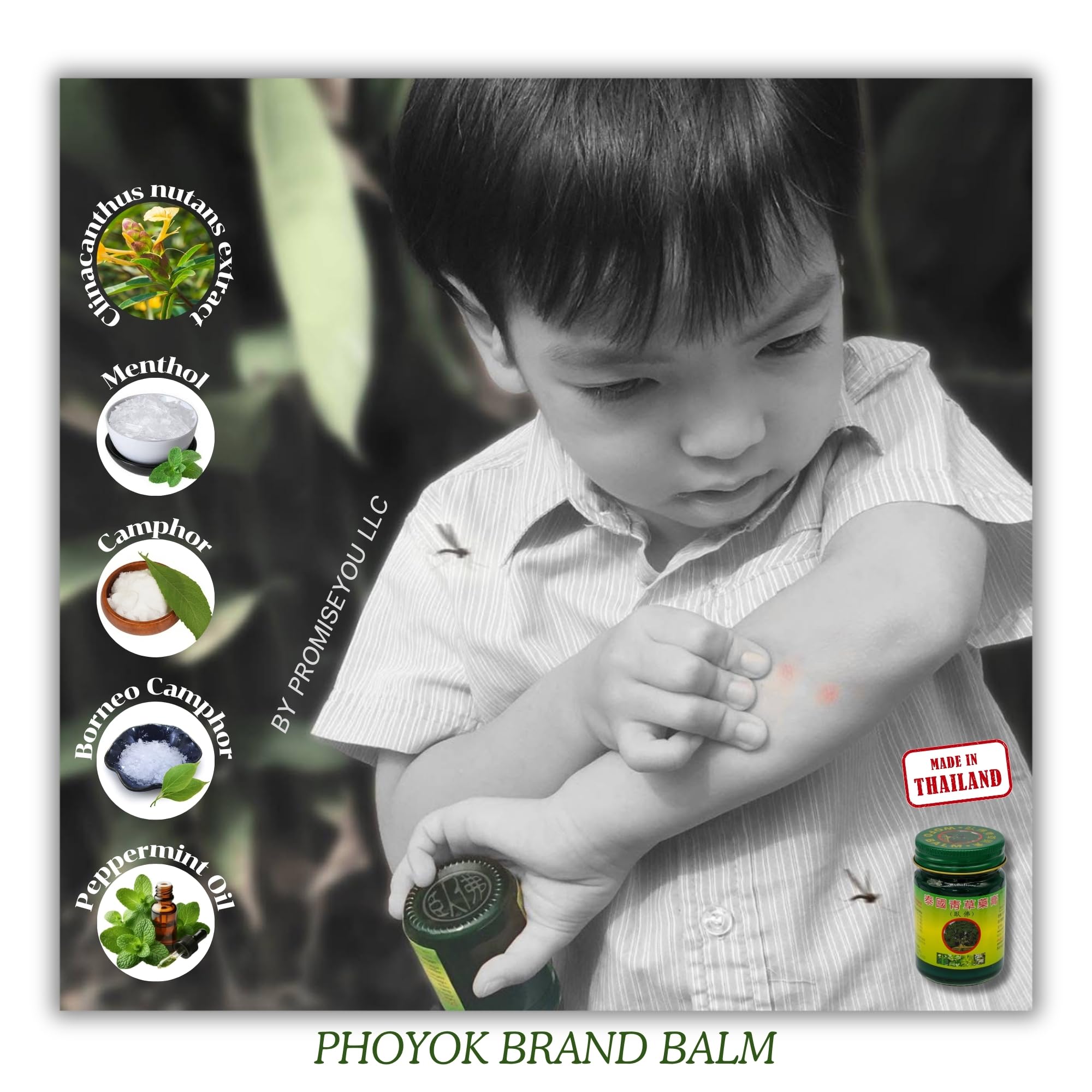 PHOYOK baume vert 50g — format portatif, pratique en déplacement.