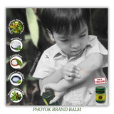 PHOYOK baume vert 50g — format portatif, pratique en déplacement.