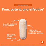 Dose quotidienne d'Ashwagandha, soutien potentiel du bien-être mental et physique.