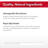 AshwaPower – Ashwagandha sauvage, ingrédient naturel pour l'énergie