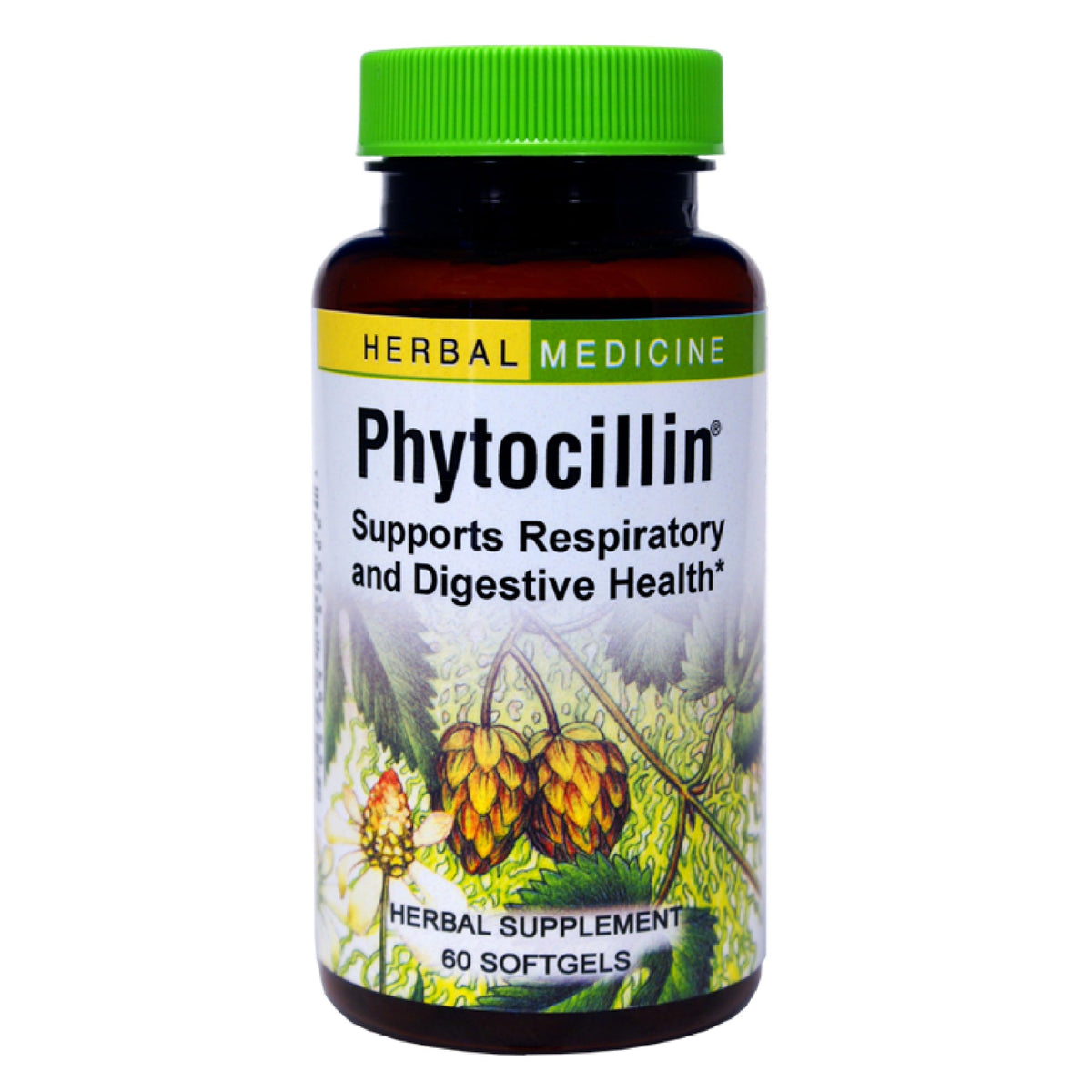 Phytocillin de Herbs Etc.—capsules molles dans une boîte de 60, pratique.