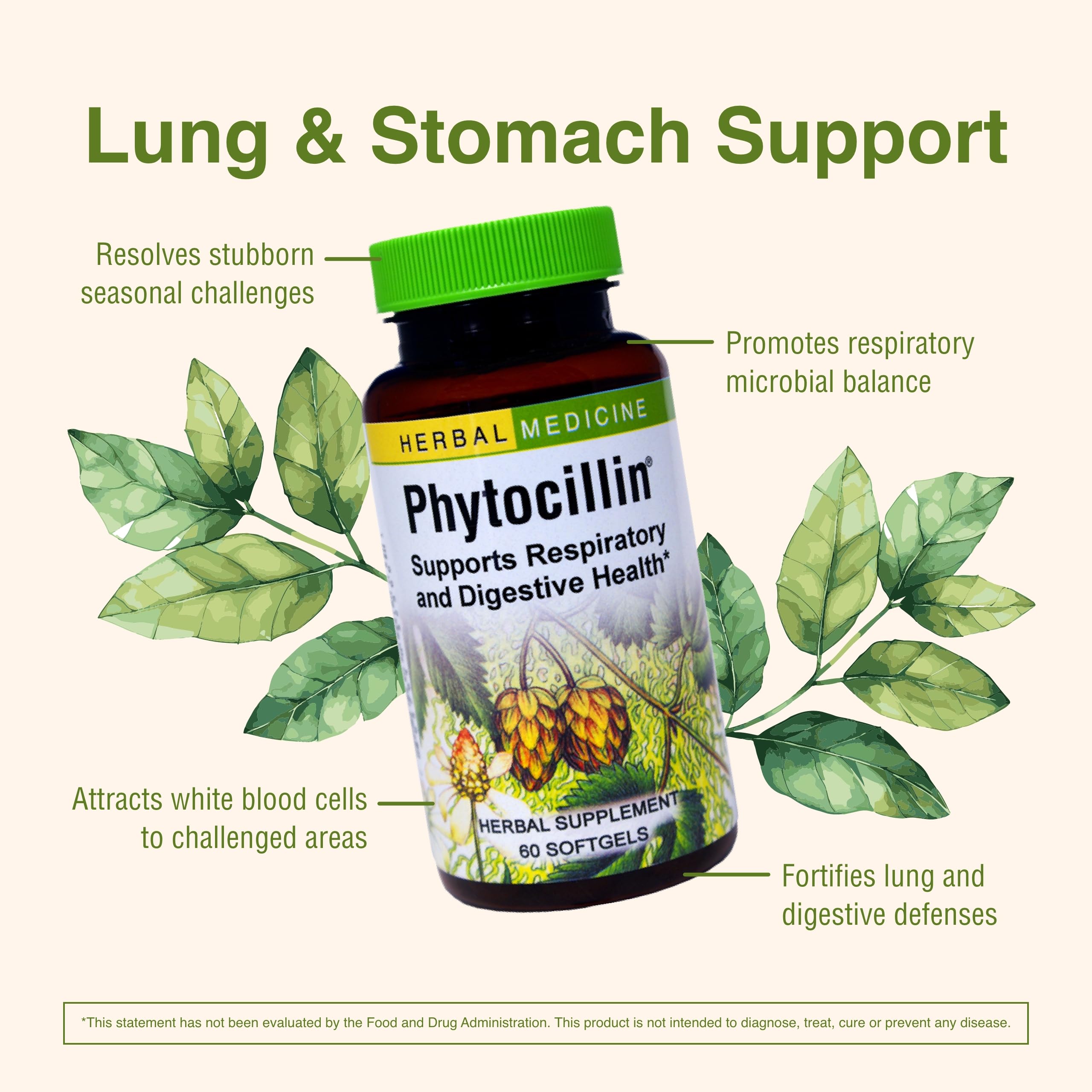 Capsules molles Phytocillin, soutien potentiel des défenses naturelles.