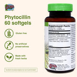 Herbs Etc. Phytocillin, bouteille pratique pour les défis saisonniers.
