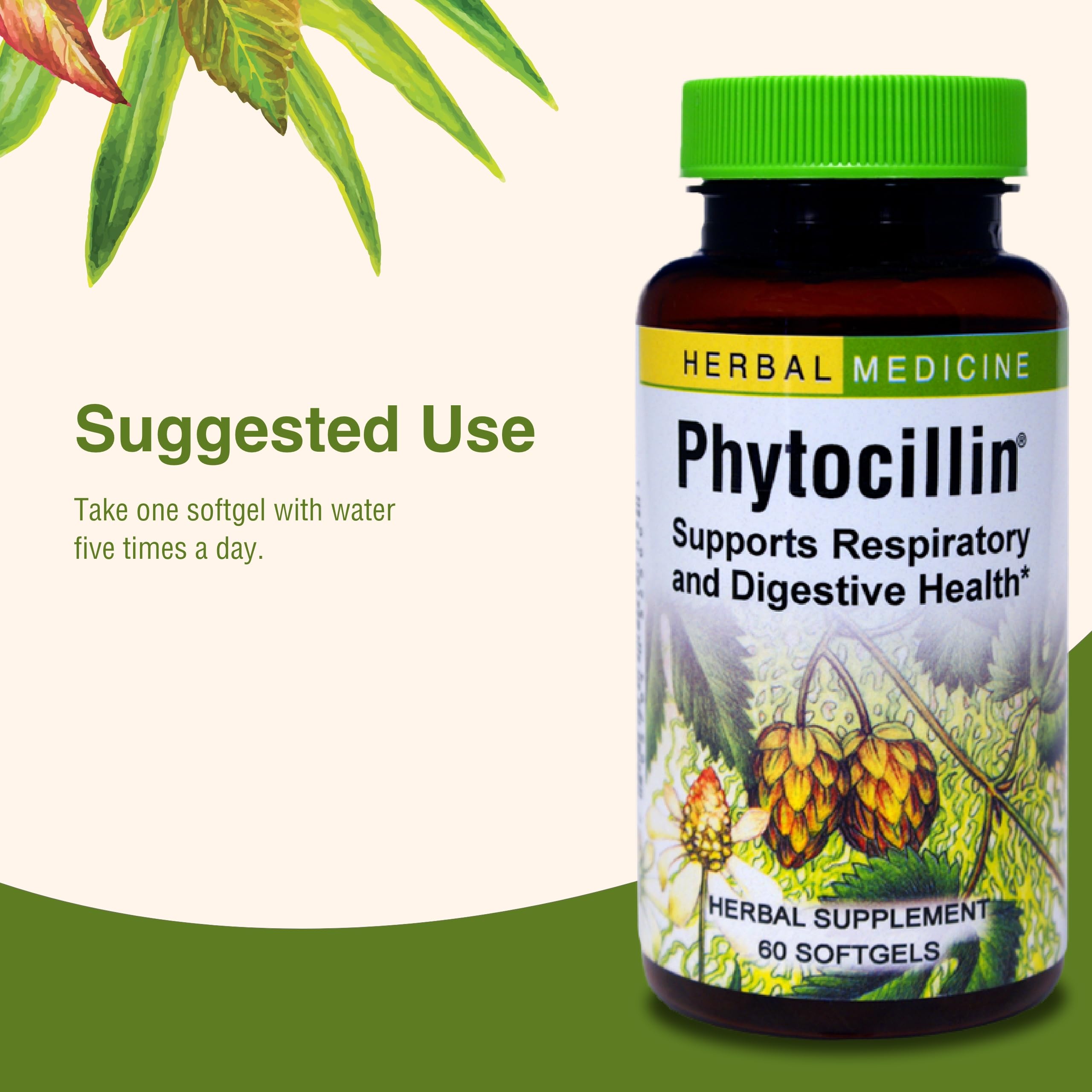 Phytocillin, format capsules molles pratique avant les activités extérieures.