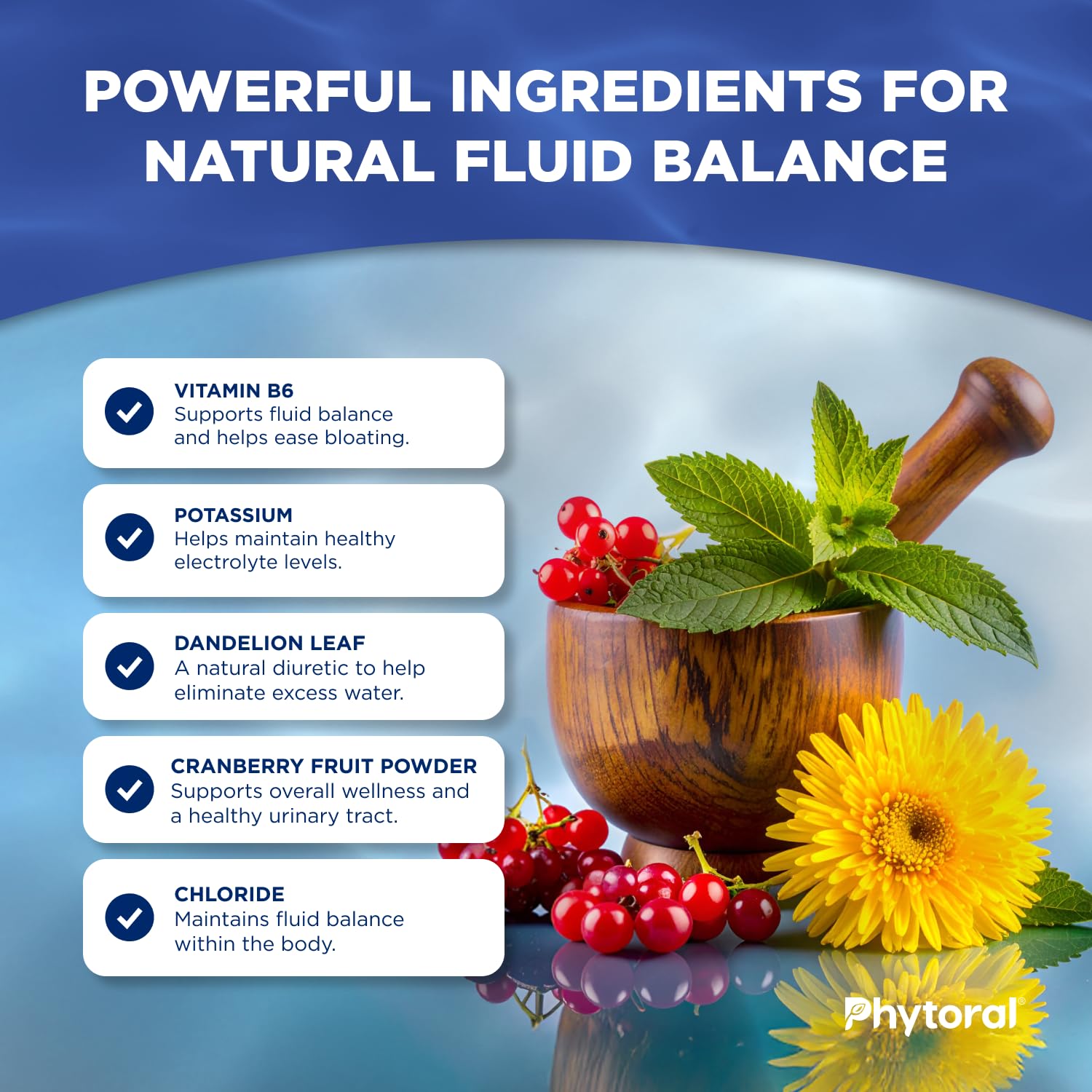 PHYTORAL thé-vert : soutien potentiel de l’équilibre hydrique et de la vitalité.