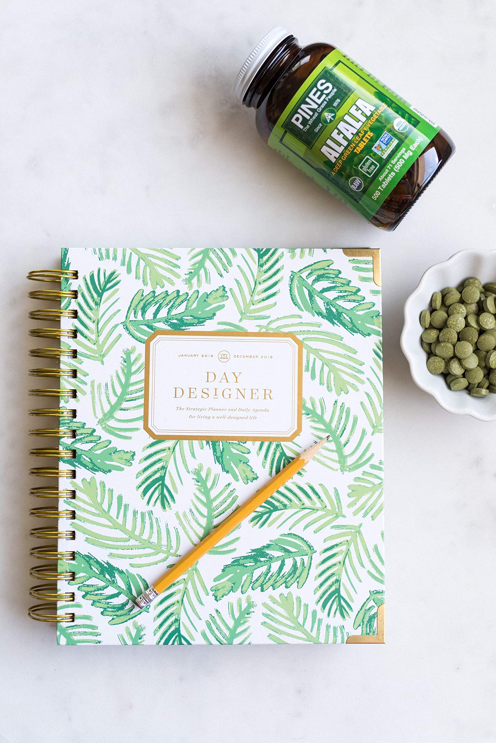 Pines Barley Grass - végane et sans sucre ajouté, pratique au quotidien