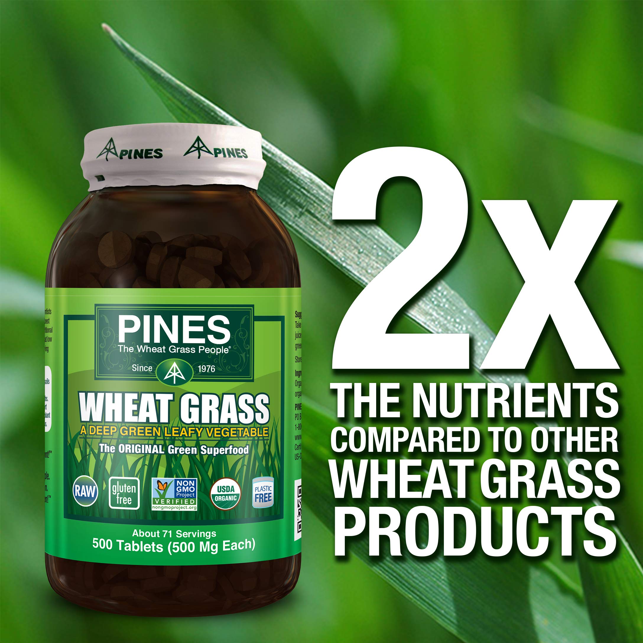 Pines tablettes sans OGM et véganes pour choix naturel
