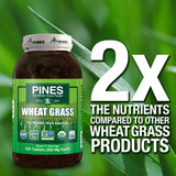 Pines tablettes sans OGM et véganes pour choix naturel
