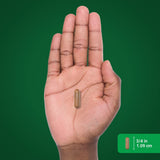Piping Rock Cannelle de Ceylan – emballage clair et pratique pour un usage quotidien.
