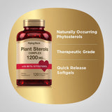 Complexe phytostérols Piping Rock avec Beta Sitostérol pour votre routine.